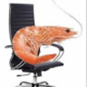 Meet your Posher, Cham